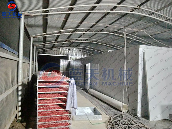 云南小米辣烘干機(jī)現(xiàn)場